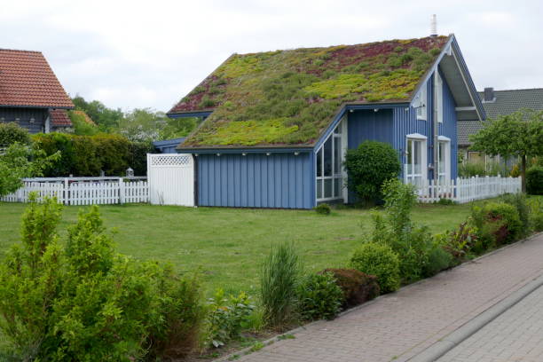 green roofing companies